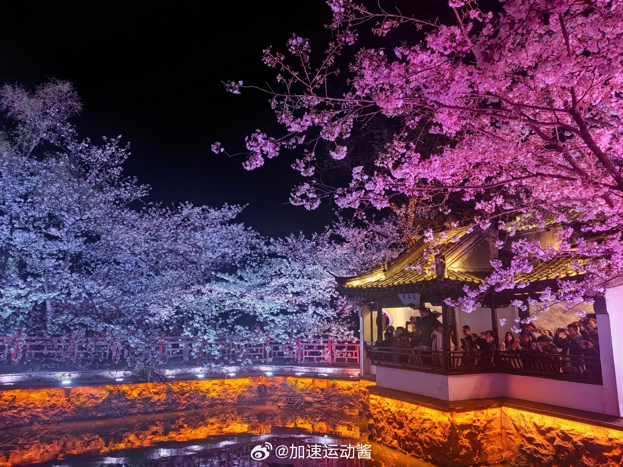 无锡的樱花一整个春天的浪漫似乎都在这了美景无锡樱花