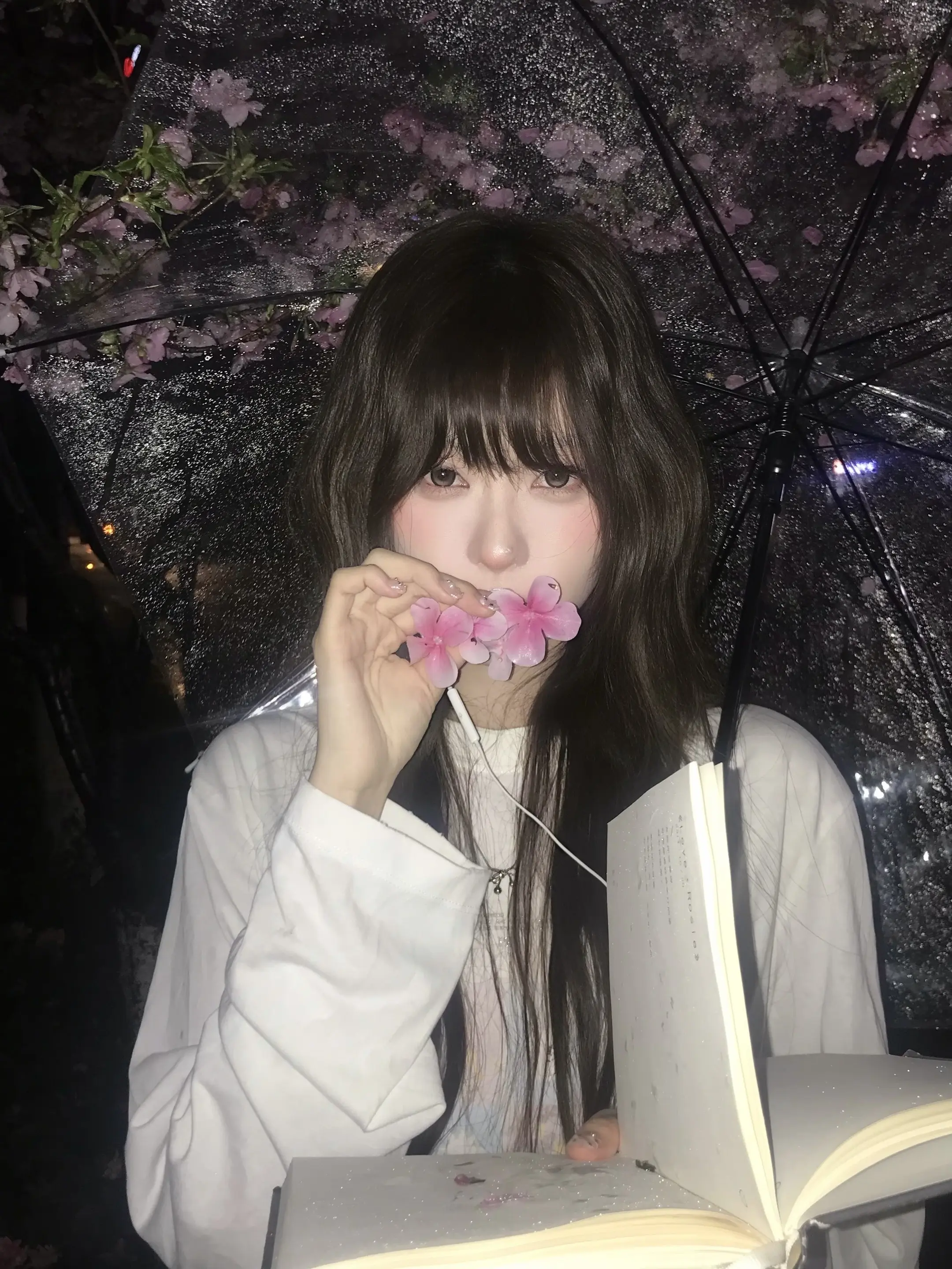 ‧₊˚ꕤ 𝐒𝐚𝐤𝐮𝐫𝐚🌸。