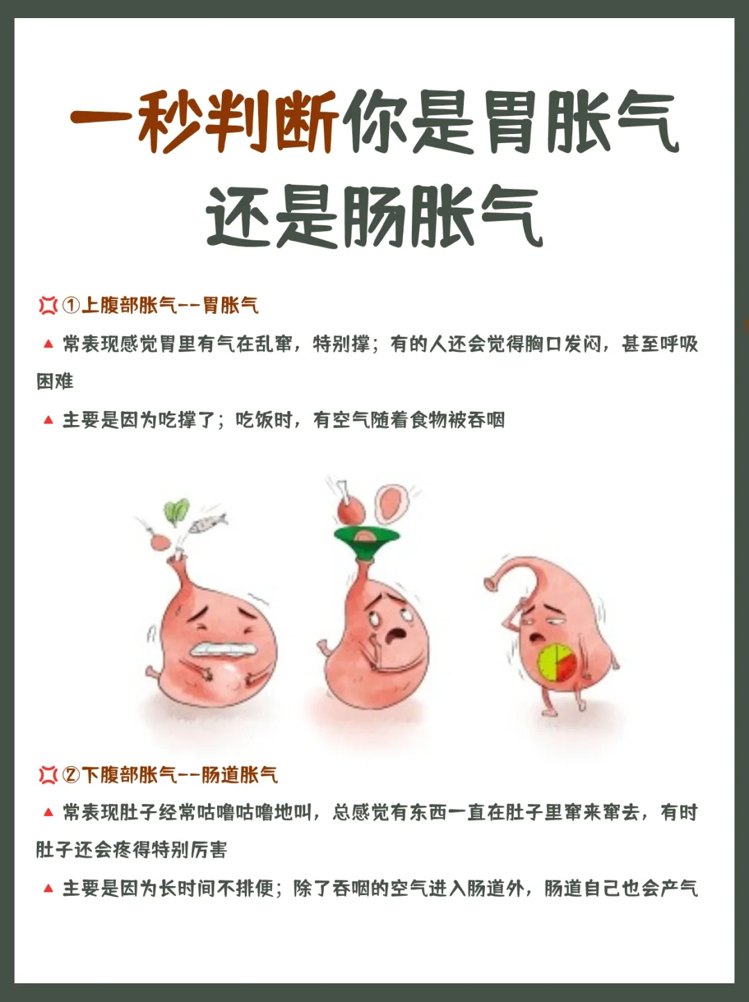 吃完饭后肚子胀胀的，还一直放臭气