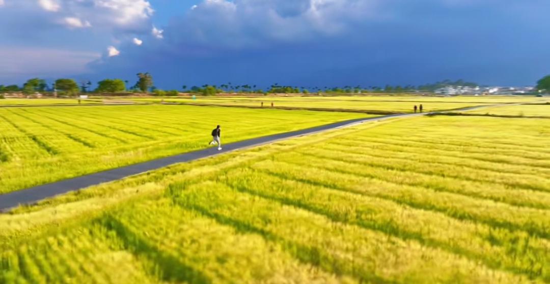 不回头，不张望，只向前跑....