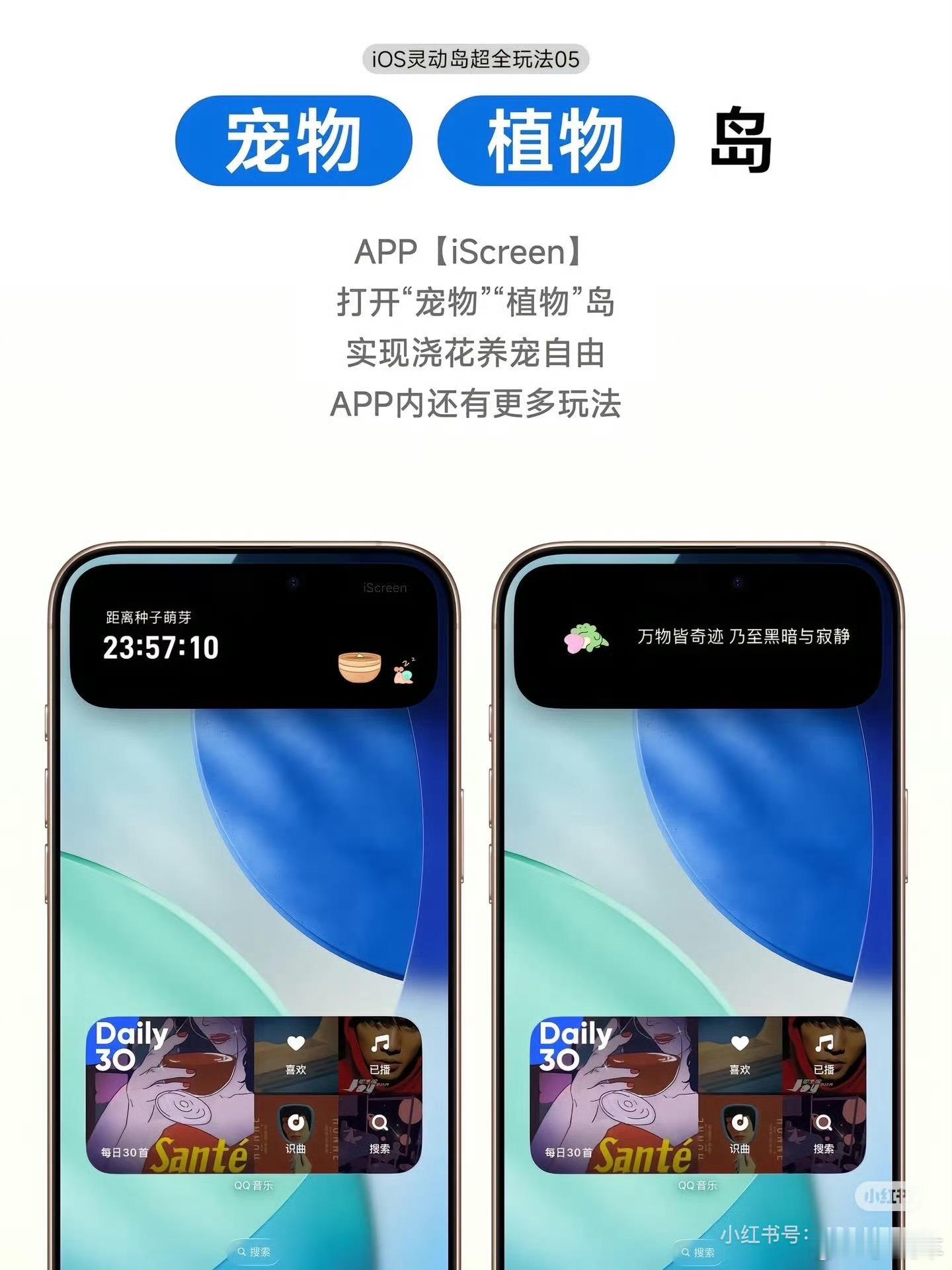 iPhone灵动岛正确打开方式其实满鸡肋的，有没有就那么回事，啥都不会耽误。无非