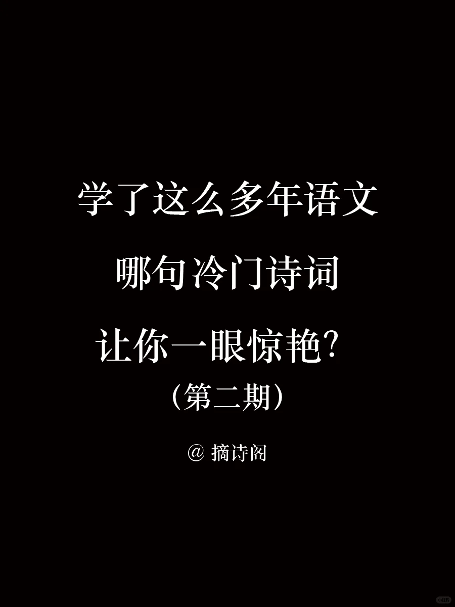 哪句冷门诗词让你一眼惊艳？