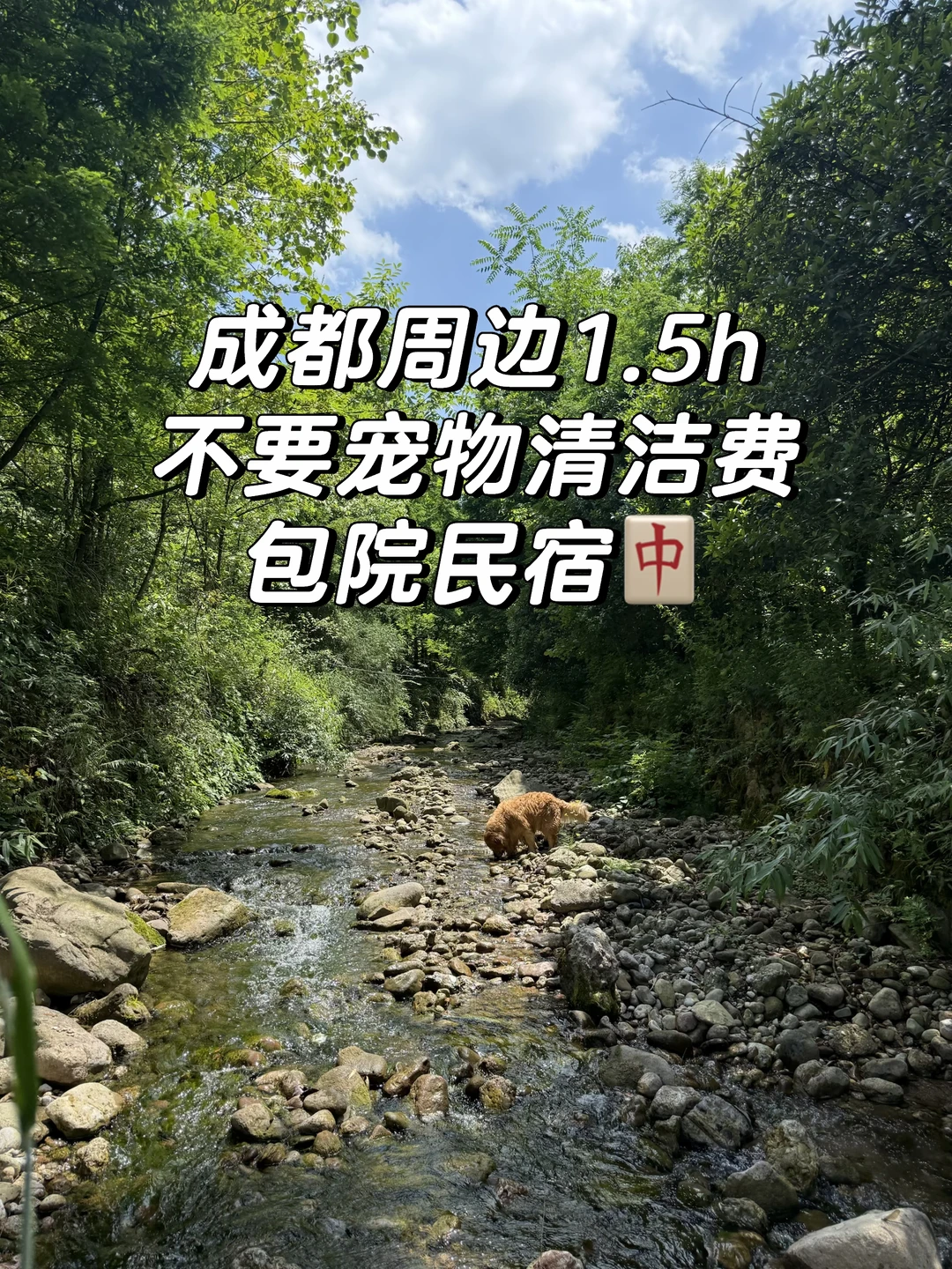 在山里避暑真的很凉快！甚至需要穿长袖！