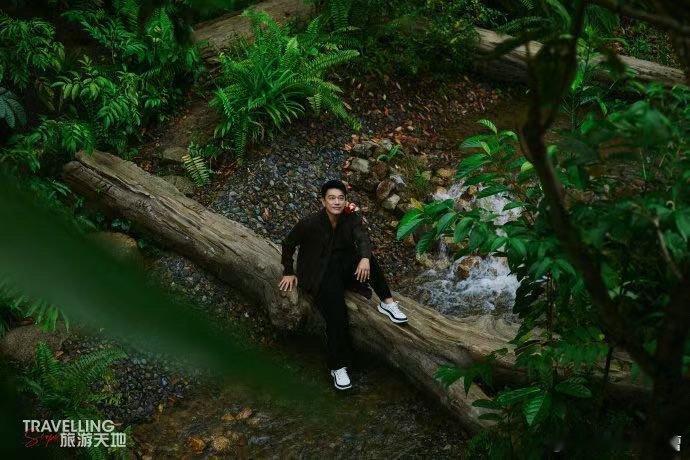 热带雨林邂逅王耀庆，夏日氛围拉满，画面鲜活，尽显自然与人物的独特魅力。 ​​​