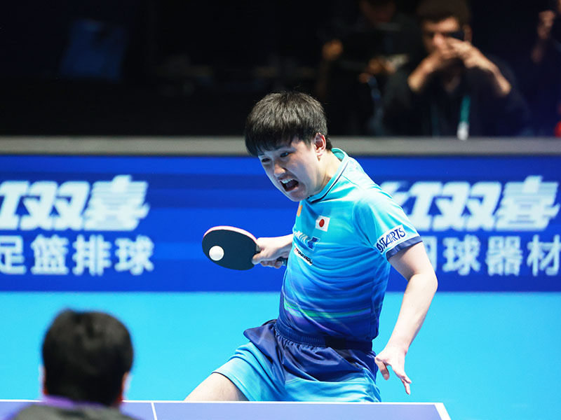 张本智和2026年伦敦世乒赛张本智和新闻报道 20260511日本男队深知“夺取