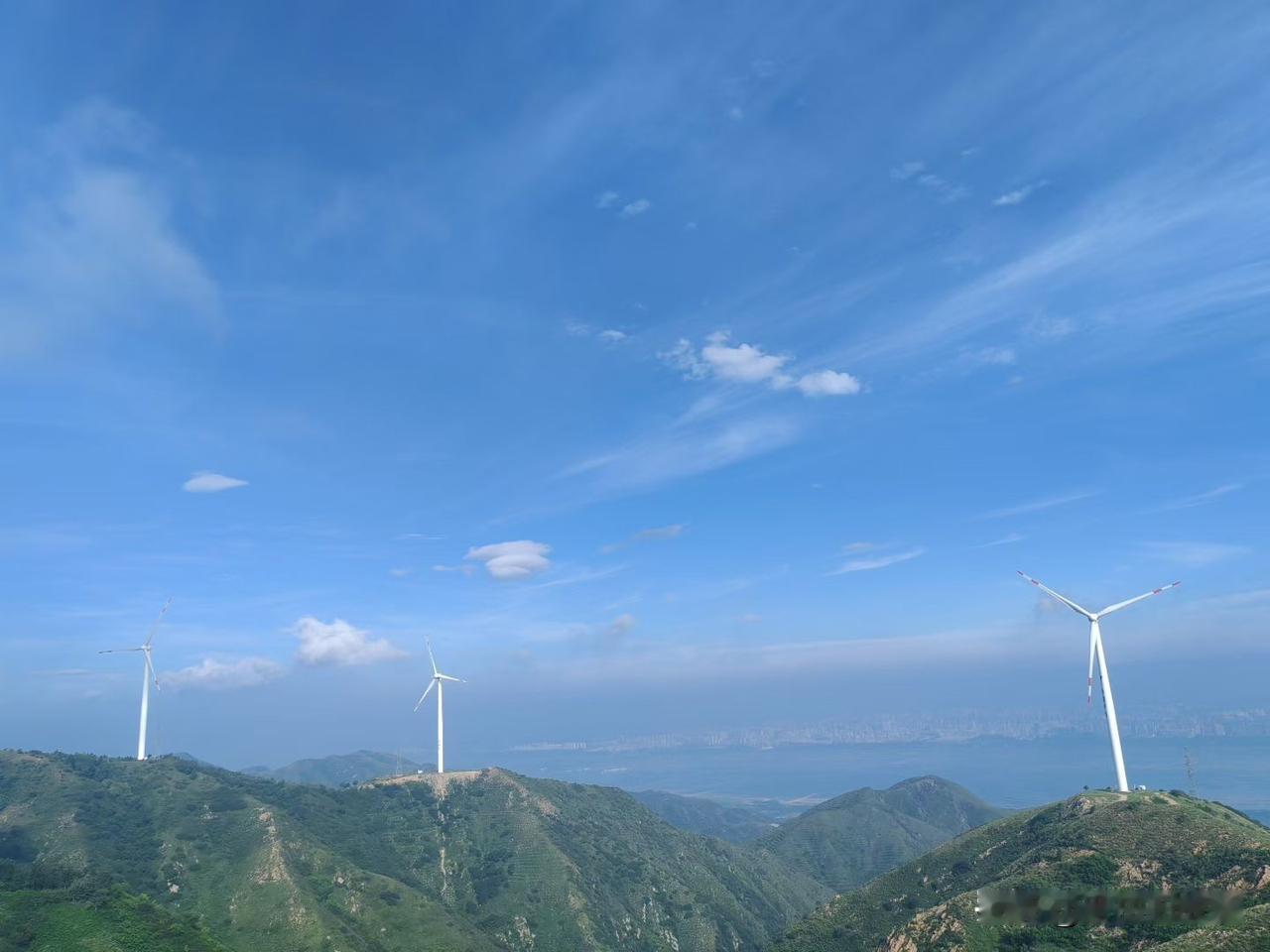 今天上午在楼下聊天，听有人说，现在学兽医的成了热门儿，录取分数线一个劲儿的上升，