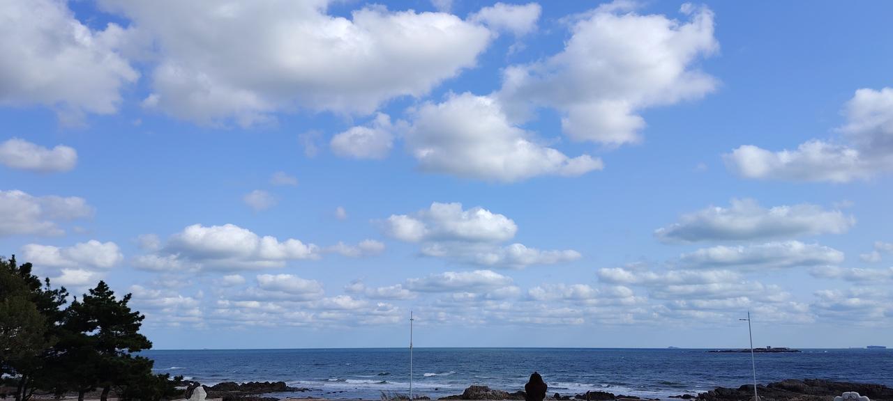 青岛雕塑园的无敌海景