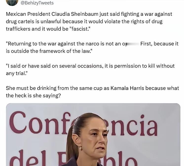 墨西哥总统表示，对毒品集团发动战争是违法的，因为这会侵犯贩毒者的权利，而且这是一