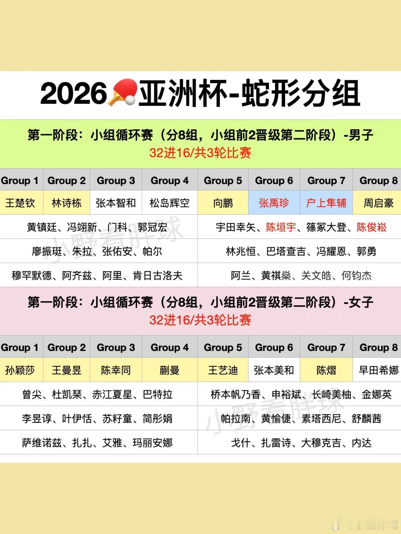 国乒亚洲杯小组赛分组前瞻2026🏓️海口亚洲杯｜第一阶段-蛇形抽签解读第一阶段