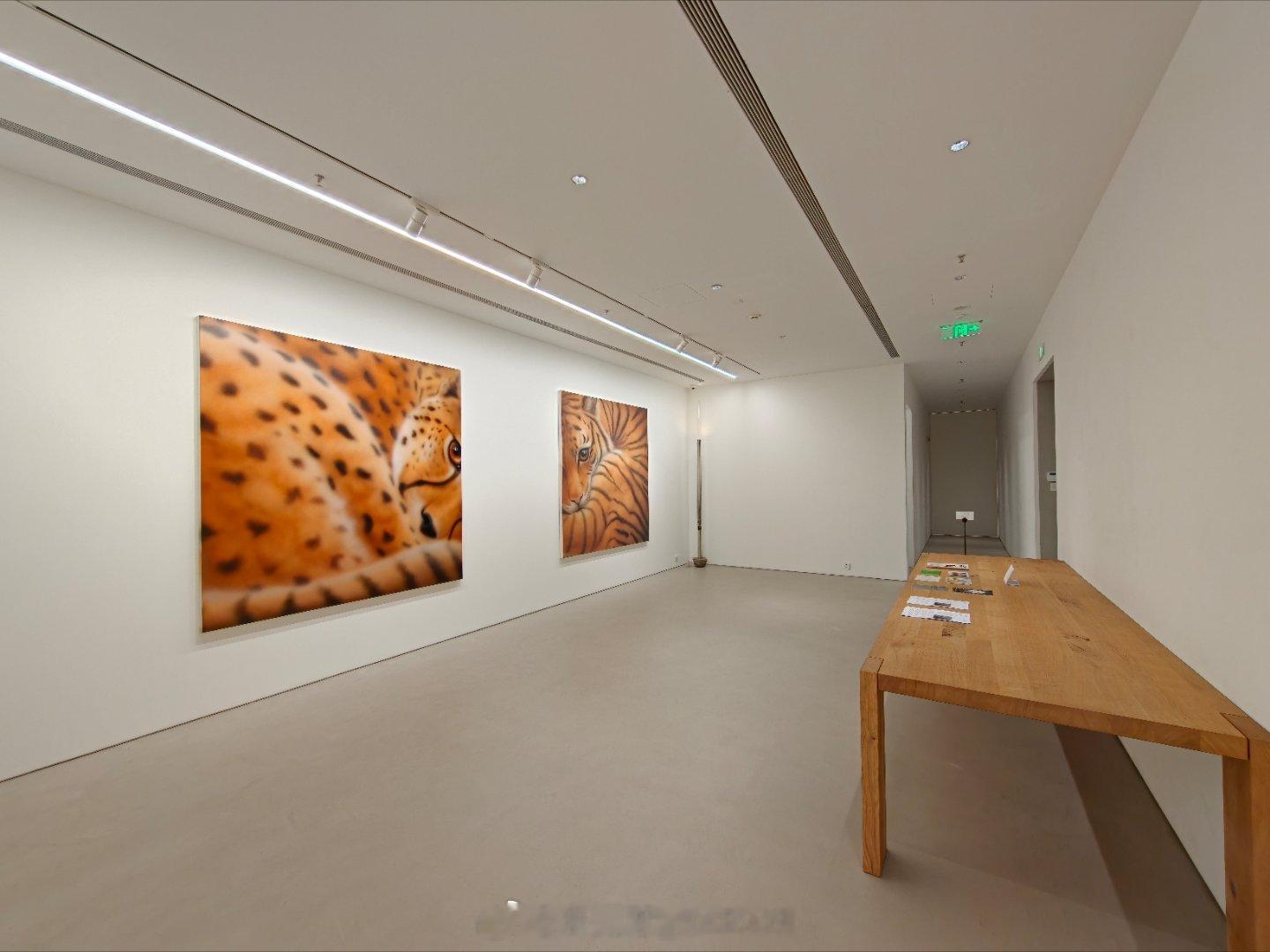 昨天在上海路过圆明园路 的大田秀则画廊 看了【尤阿达 人造天堂】作品展记录一下 