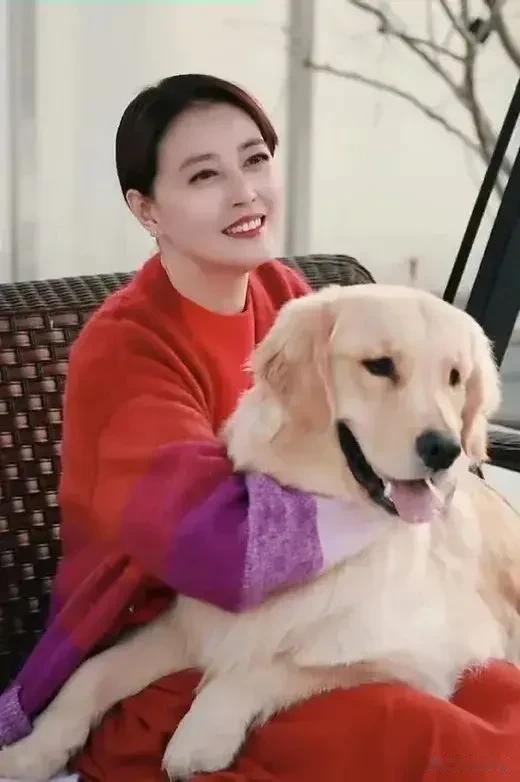 周海媚因病离世，她没有子女，那么她家产将由谁继承？

1、周海媚的母亲，父亲已去