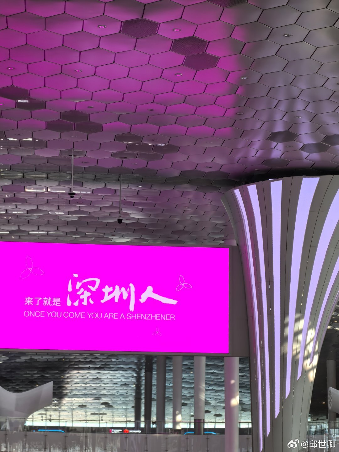 分享图片 ​​​