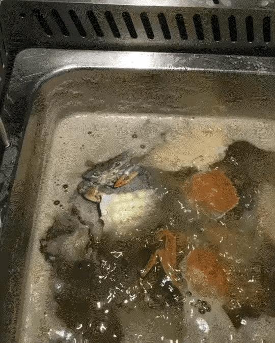 这螃蟹值得我敬畏。