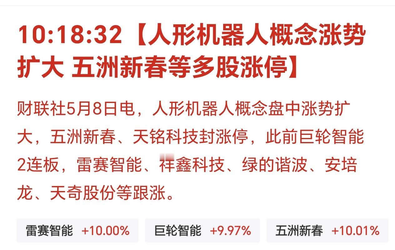 人形机器人