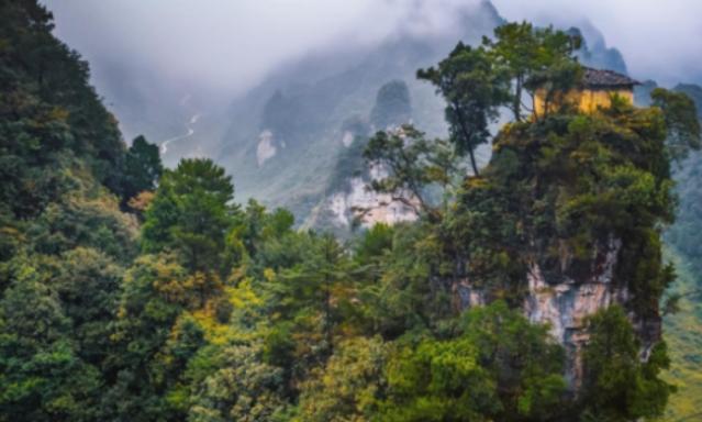 为什么禁止进入神农架深处？一位60多岁的巡山员告诉我：别看神农架拥有大量高等植物