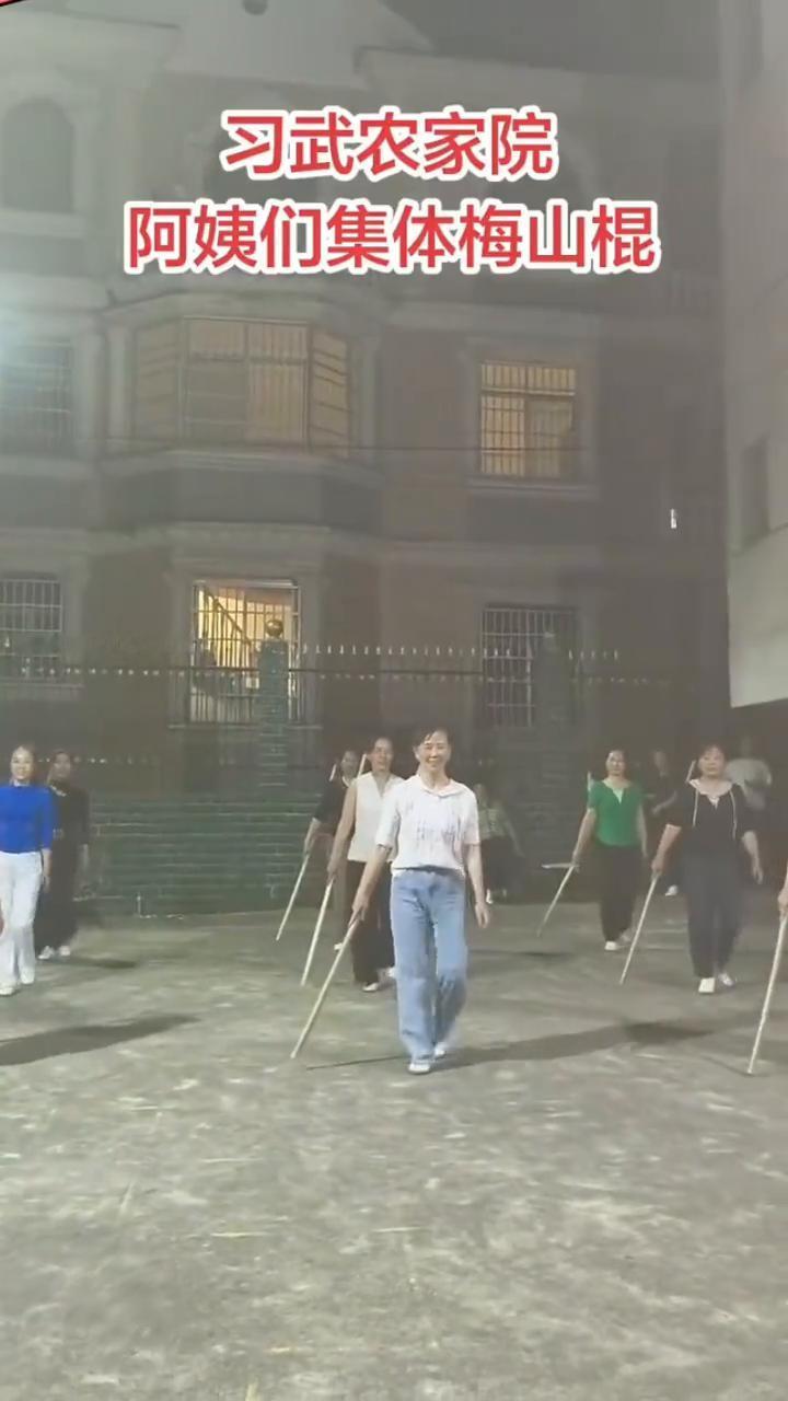 习武农家院，阿姨们集体梅山棍。