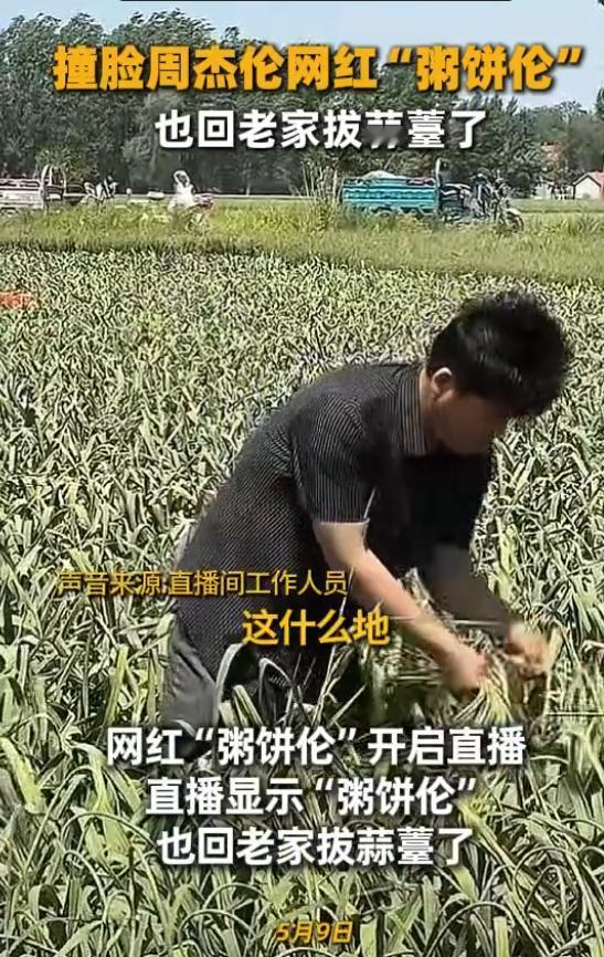 5月9日，撞脸周杰伦走红的网红粥饼伦直播接地气，回老家邯郸埋头拔蒜薹，褪去网红光