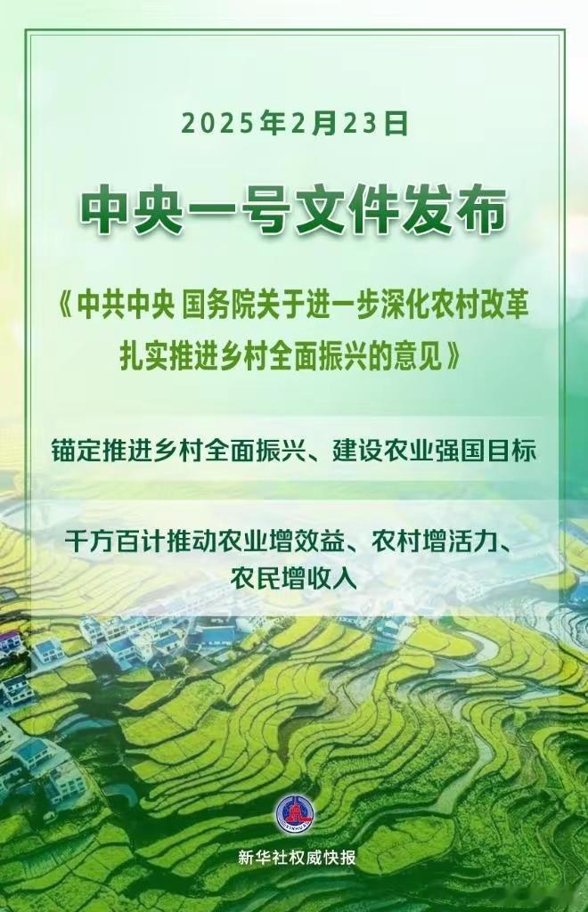 一图读懂2025中央一号文件 2025 年中央一号文件聚焦“三农”，为深化农村改