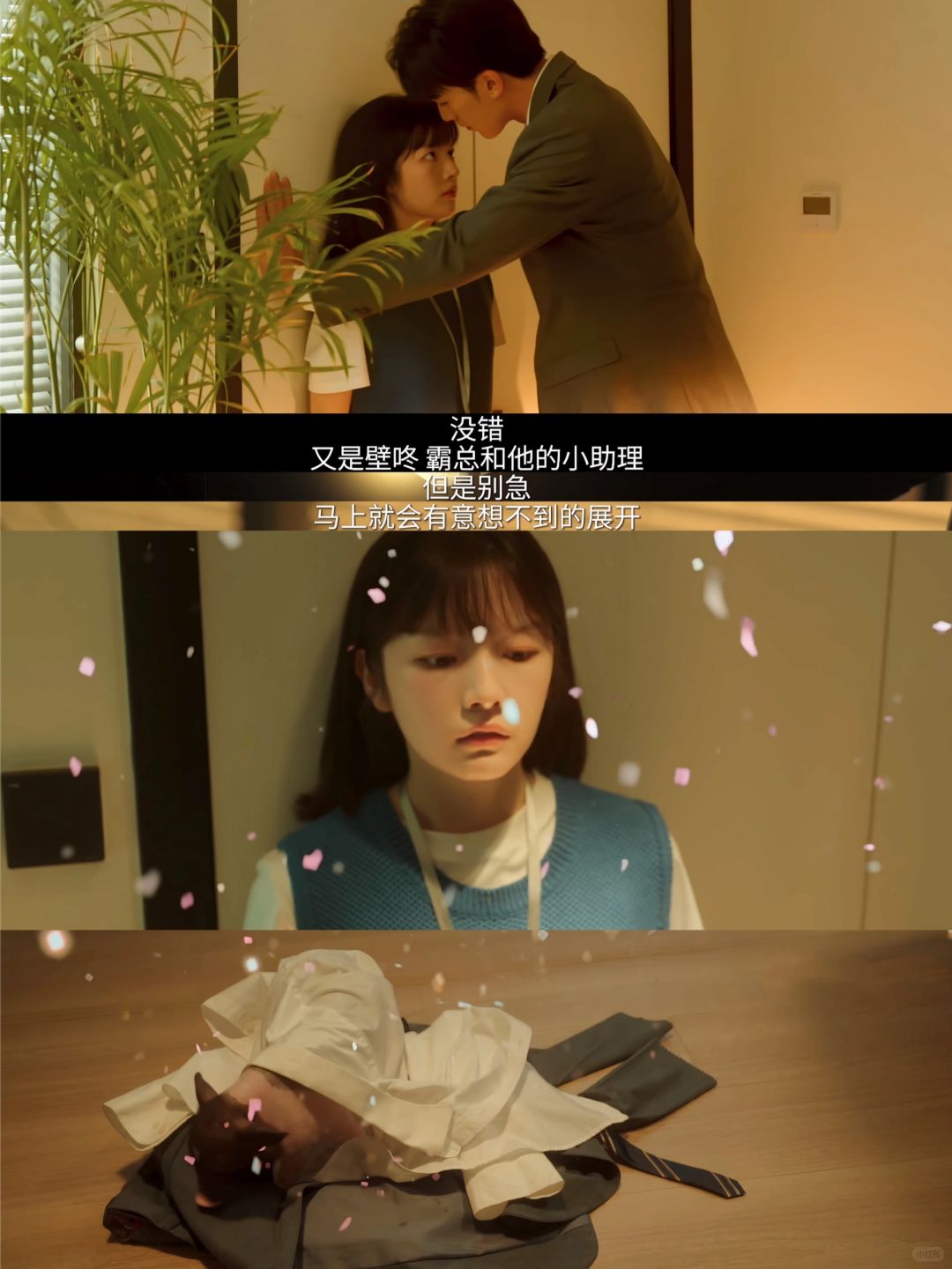 让我们大声喊出：男主是猪，老板是猪🐷