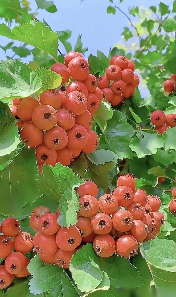 年底了，有份工作真的要珍惜

奉劝各位有工作的人，一定要知足，马上到年底了，经济