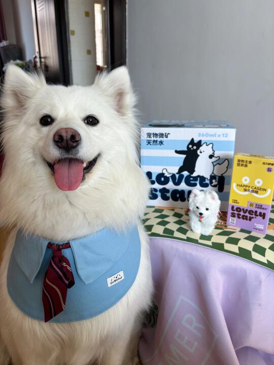 一起去幼儿园吃酪酪吗🧀