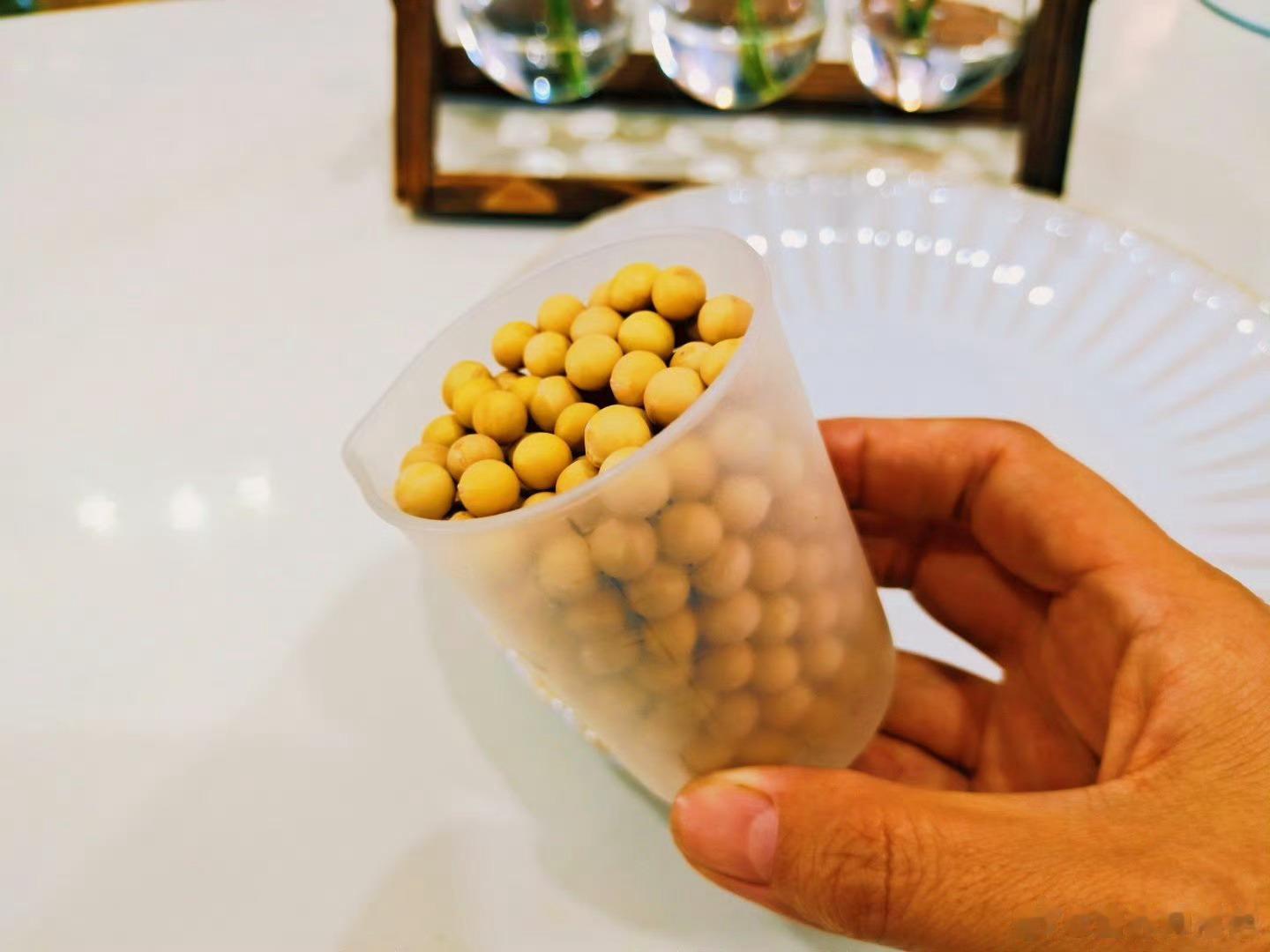 #咖啡 是一种豆浆##健康食验计划# 咖啡豆磨得，也算豆浆！我更愿意喝大豆豆浆！