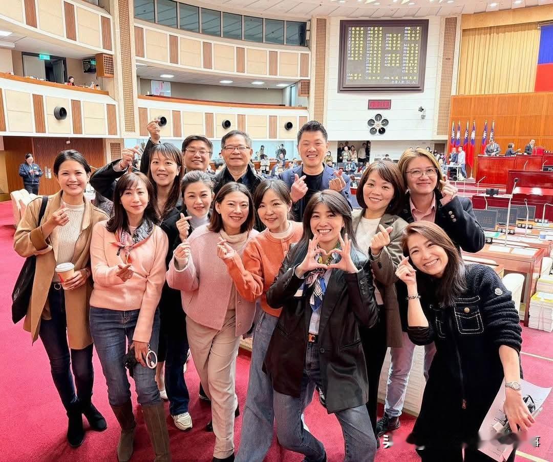 民进党台北市议员群妖合影
岛内的政治向来蓝绿混杂，基本没啥政治信仰，都是左右横跳
