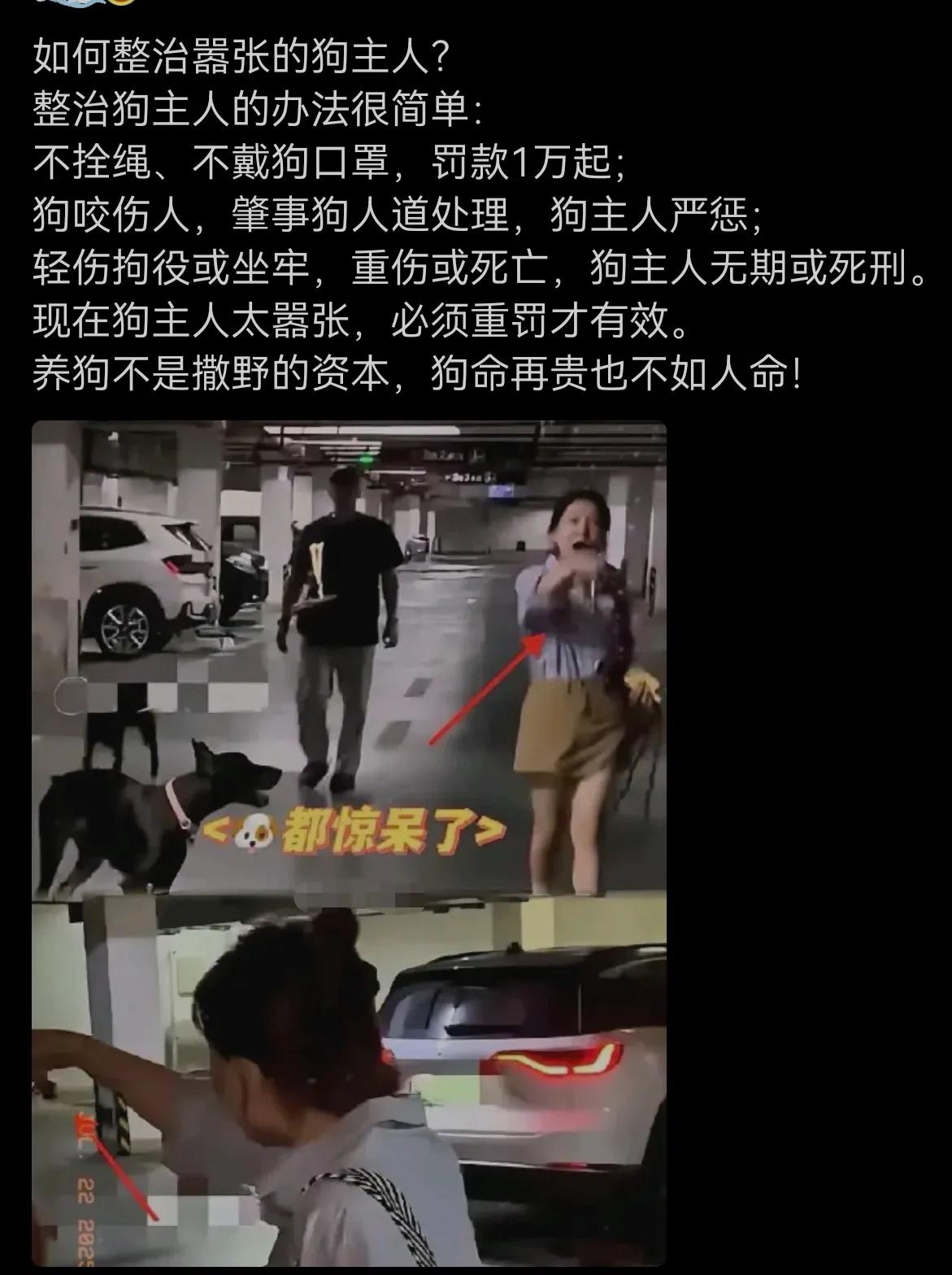支持这位网友建议，如今人狗颠倒，狗仗人势，狗比人高贵，这种荒谬现象必须扭转。
