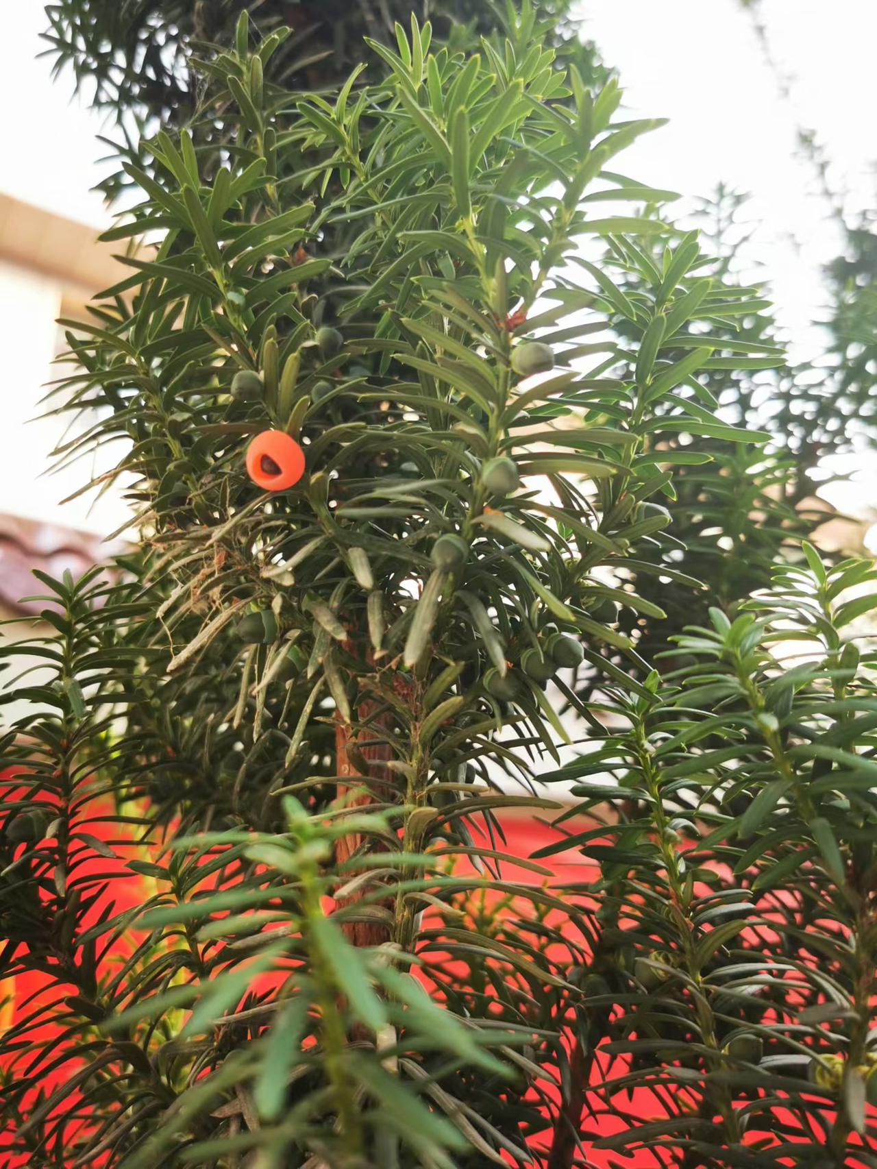 美景图片分享