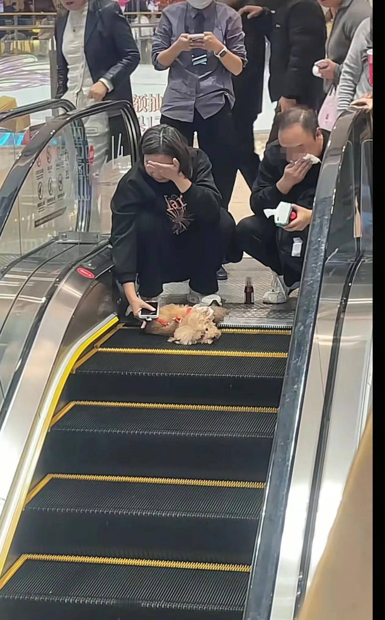 带宠物狗到一商场坐电动扶梯，宠物狗却不慎被电梯挤压致死，夫妇俩当场伤心抹泪。这种