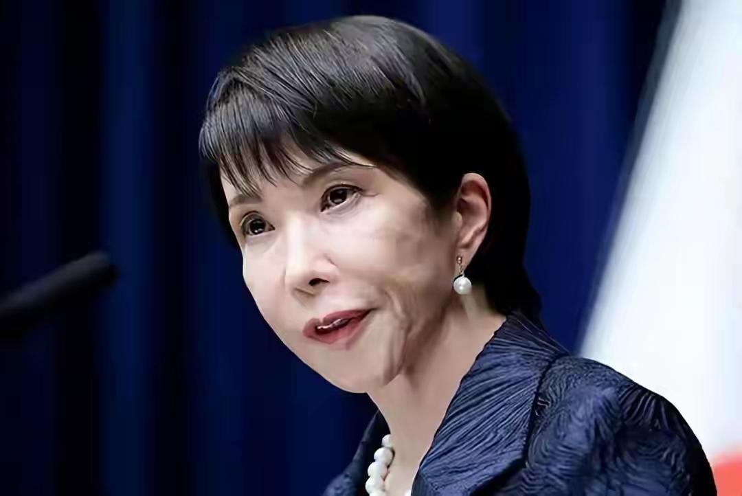 2026年5月1日晚，高市早苗乘专机抵达河内内排国际机场。现场无红毯、无仪仗队、