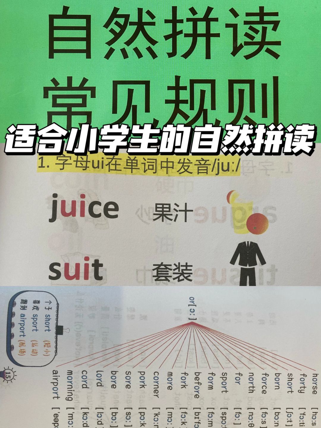 后悔才看到！学会自然拼读学英语so easy！