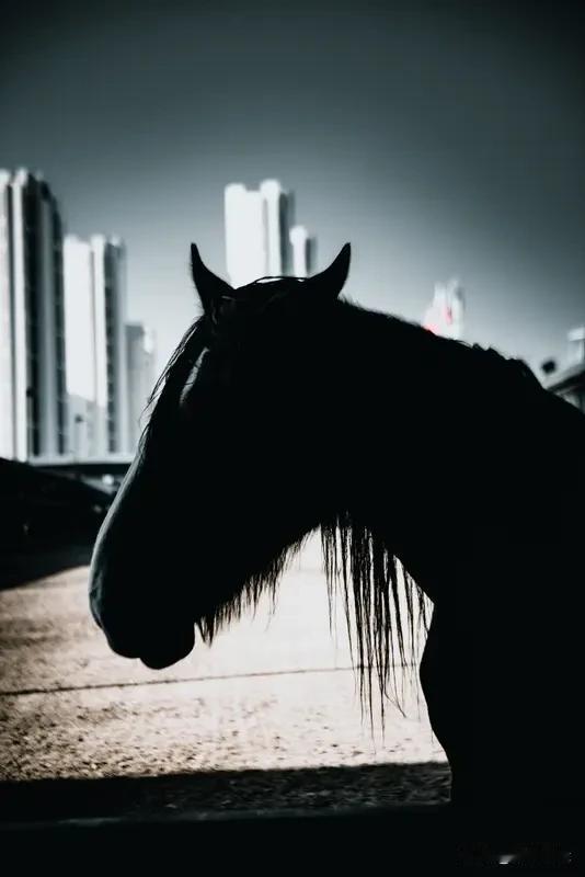 记录我的2026 2026，是新开始的序章。过去的事，能翻篇就翻篇，别再为难自己