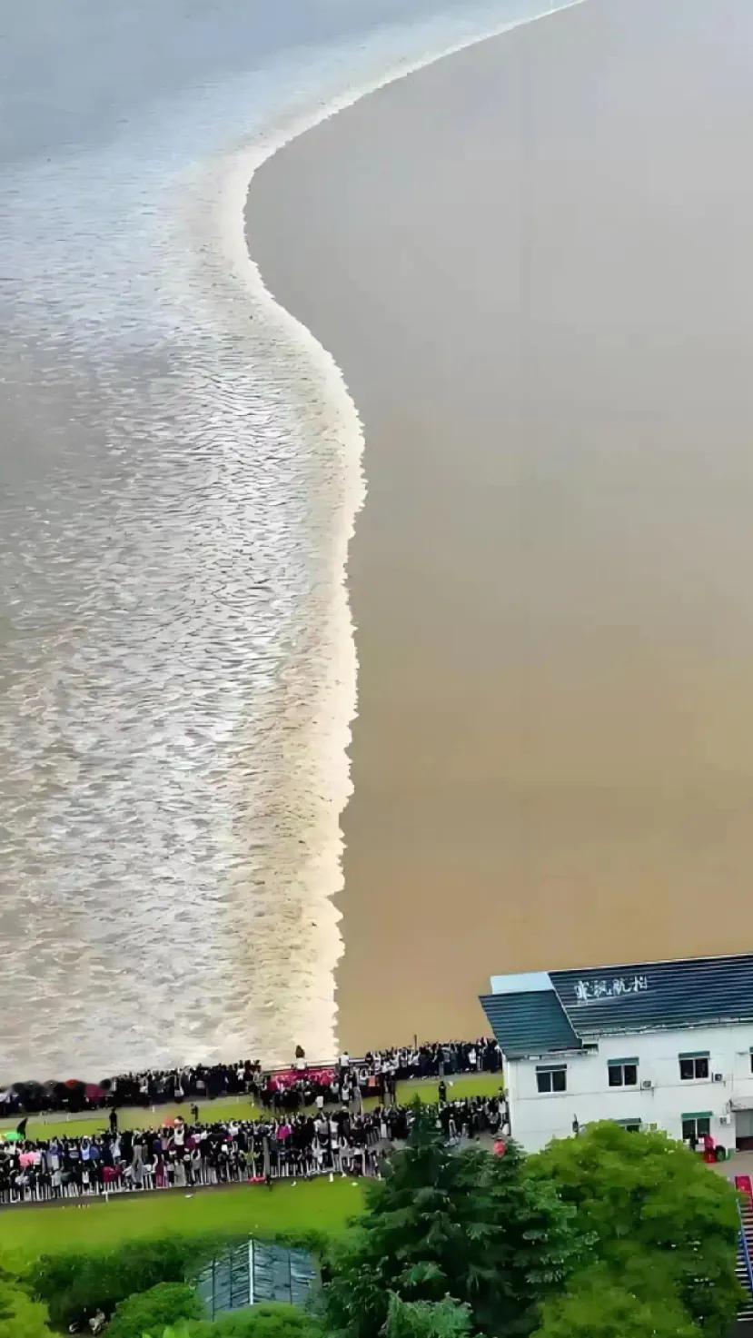 《钱塘潮》
 
怒浪奔雷撼海门，
银涛万顷卷秋云。
雄声万里惊天宇，
奇景钱塘举
