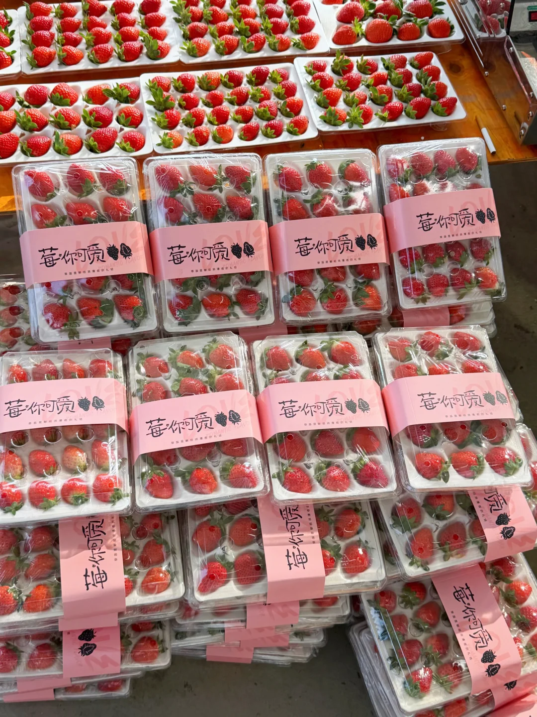 纯甜的香野草莓口感巅峰期，老顾客疯狂下单
