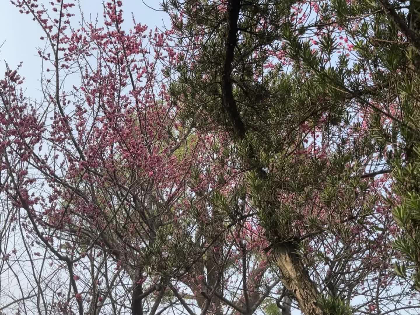 对于不好的人或者事，当断不断必受其乱。总是心软，考虑体面的结局，结果被...