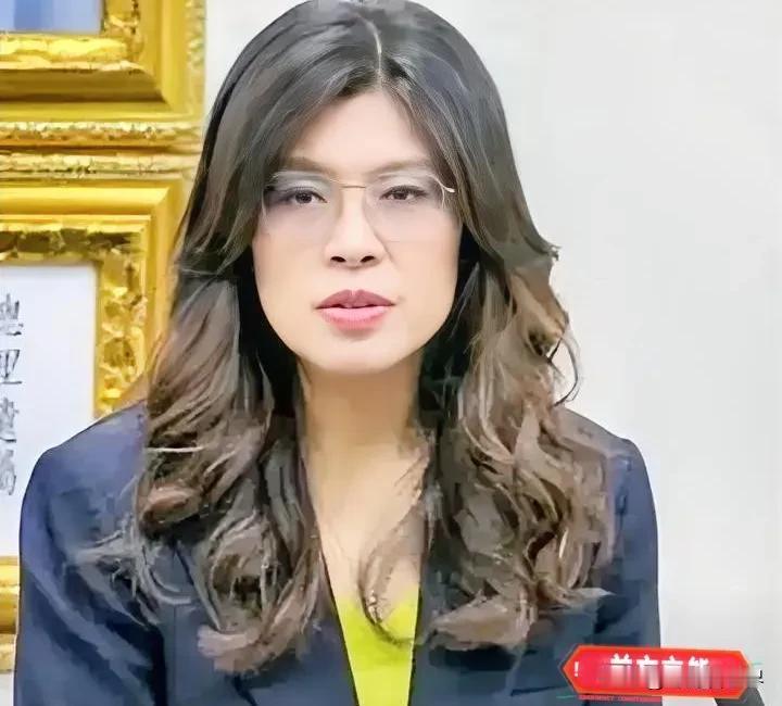 态度大变！对岸传来重磅发声，郑丽文直言：任何逼迫、任何冲突，一概绝不接受
 
这