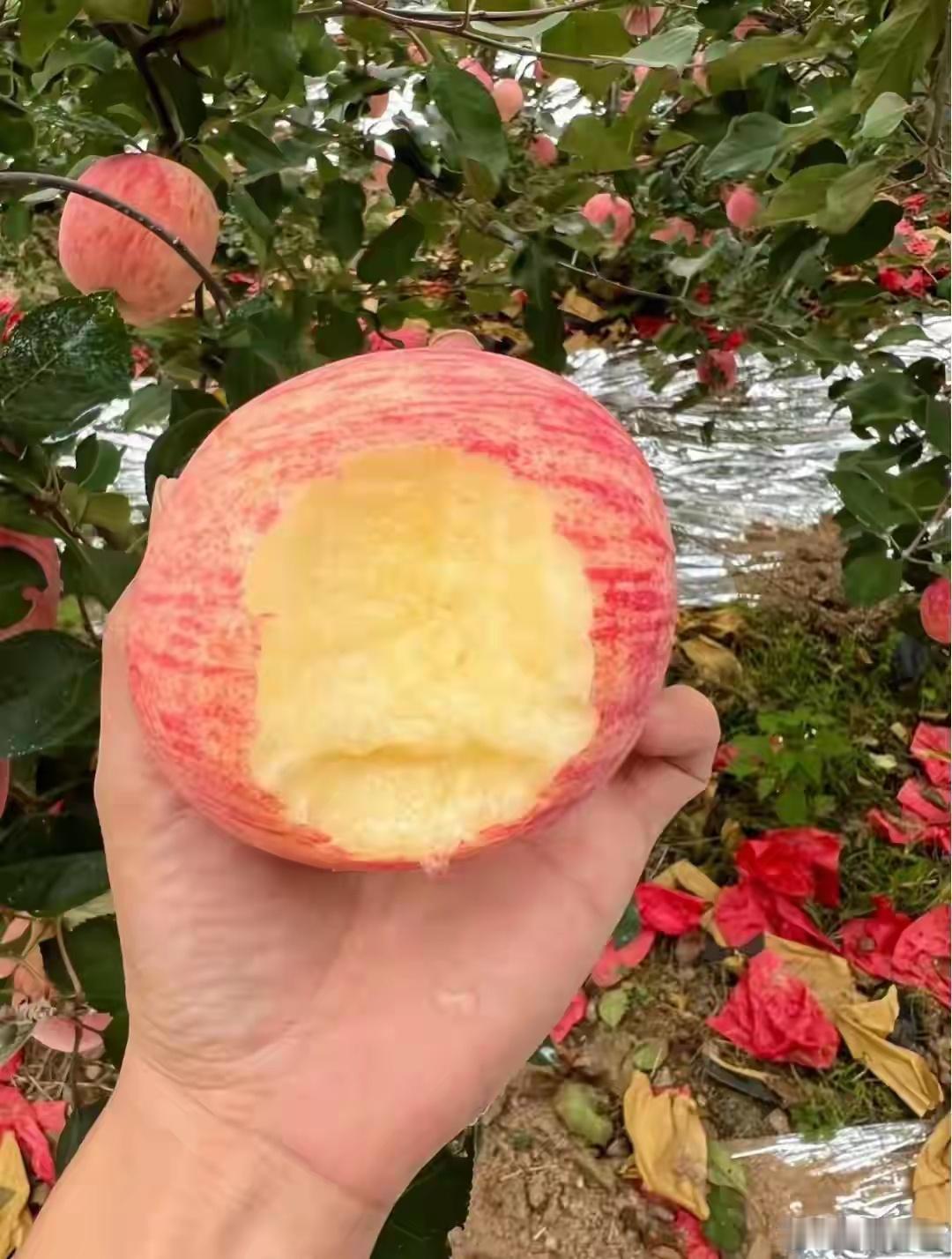 最慢的步伐不是跬步，而是徘徊；最快的脚步不是冲刺，而是坚持。银价飙涨