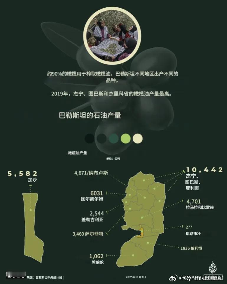 在以色列袭击被占领的约旦河西岸之际，橄榄采摘季正在进行 在每个巴勒斯坦家庭里，都