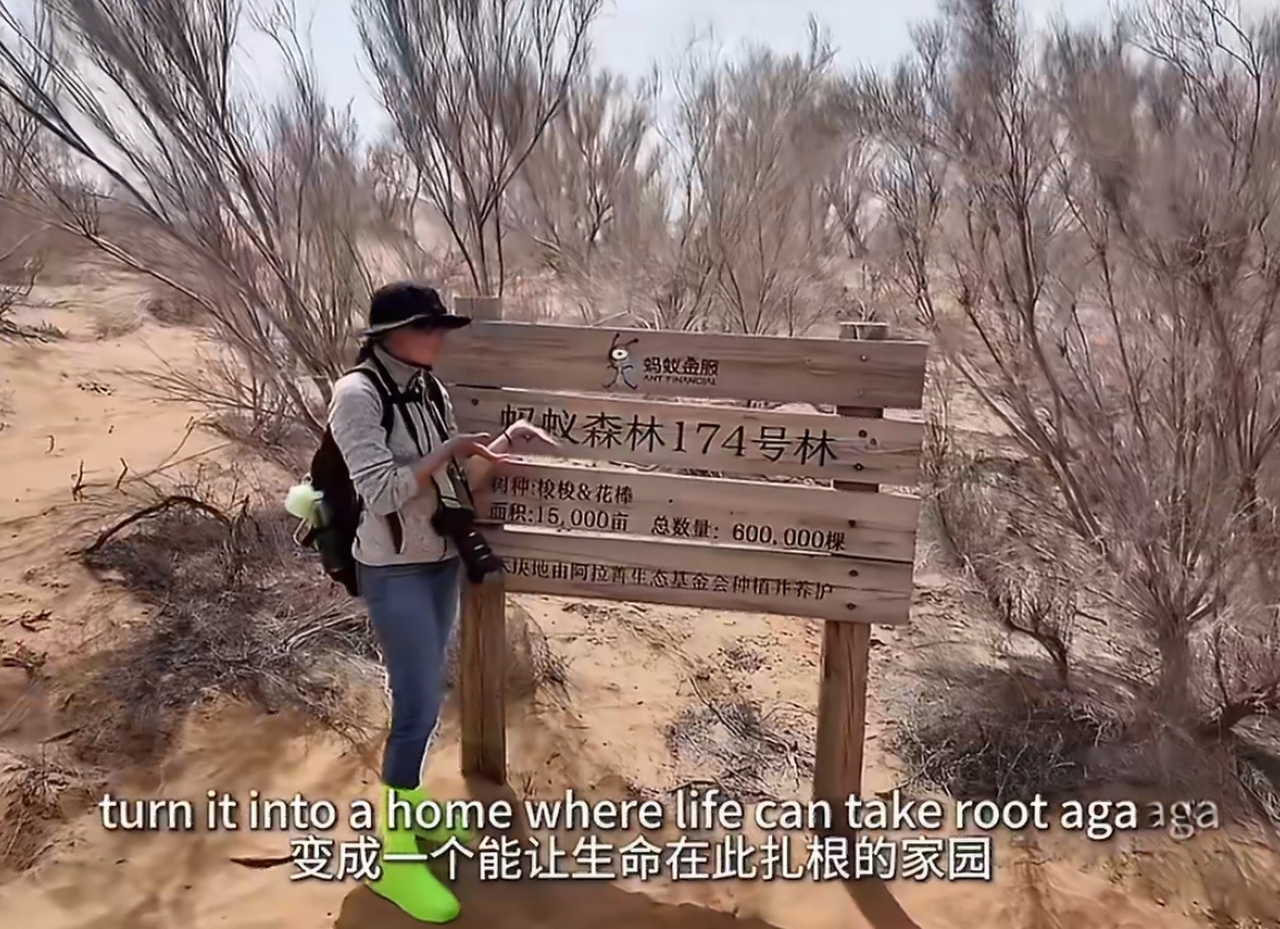 海外网友说只有中国在让世界变美好真心希望更多外国博主像这位美国姑娘一样，亲自来中