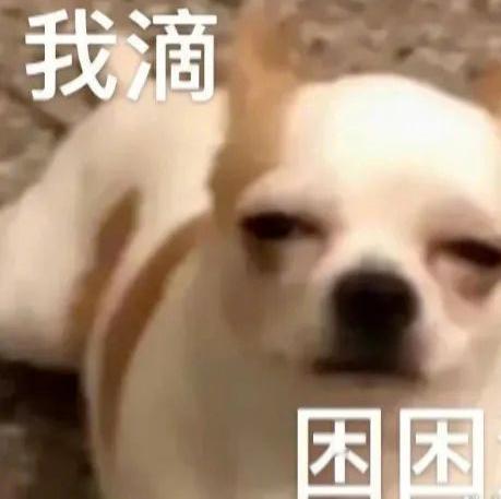 笑出猪叫，表情包速领欢乐多！ 更新不易，拿图点赞[心]更多表情包请看主页[心] 