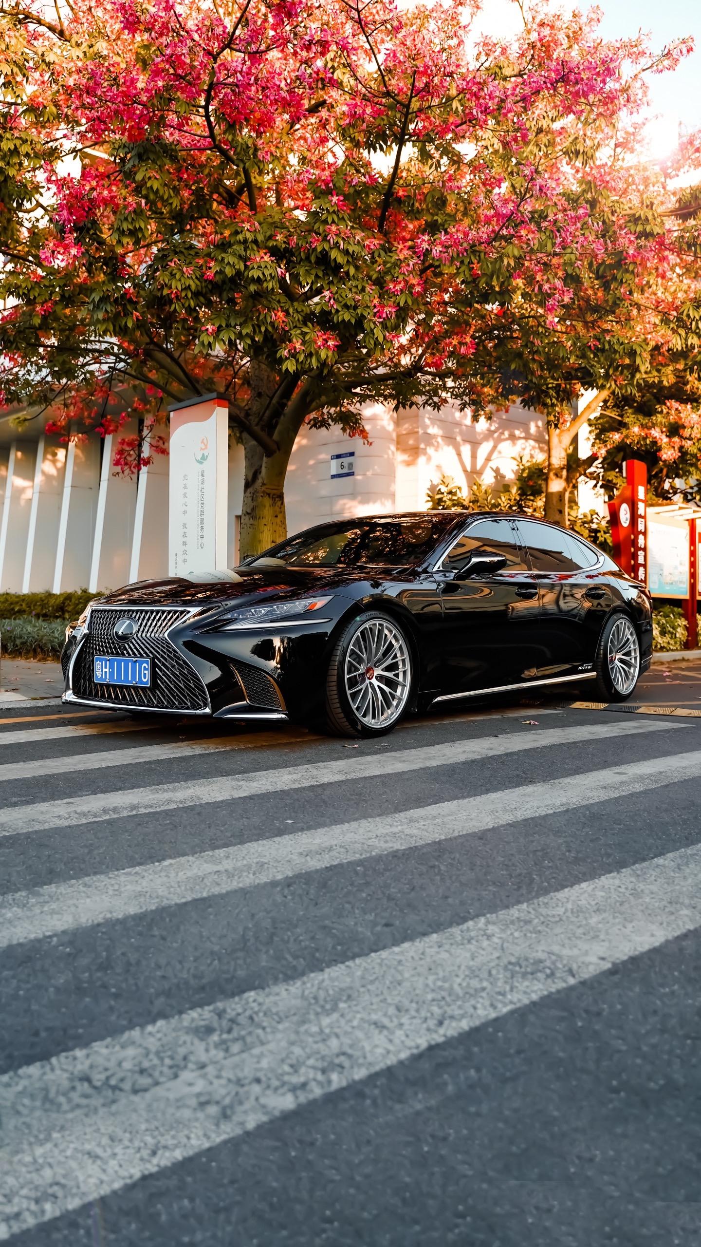 世上本无圣诞老人所有礼物和惊喜都来自爱你的人