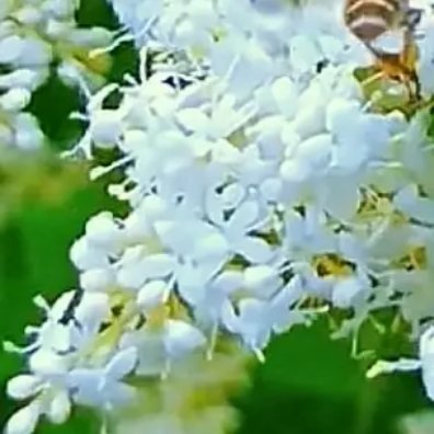 每日一善 ☀每日一善 以善为灯，步履从容。今日收起浮躁与偏见，用善意对待周遭一切