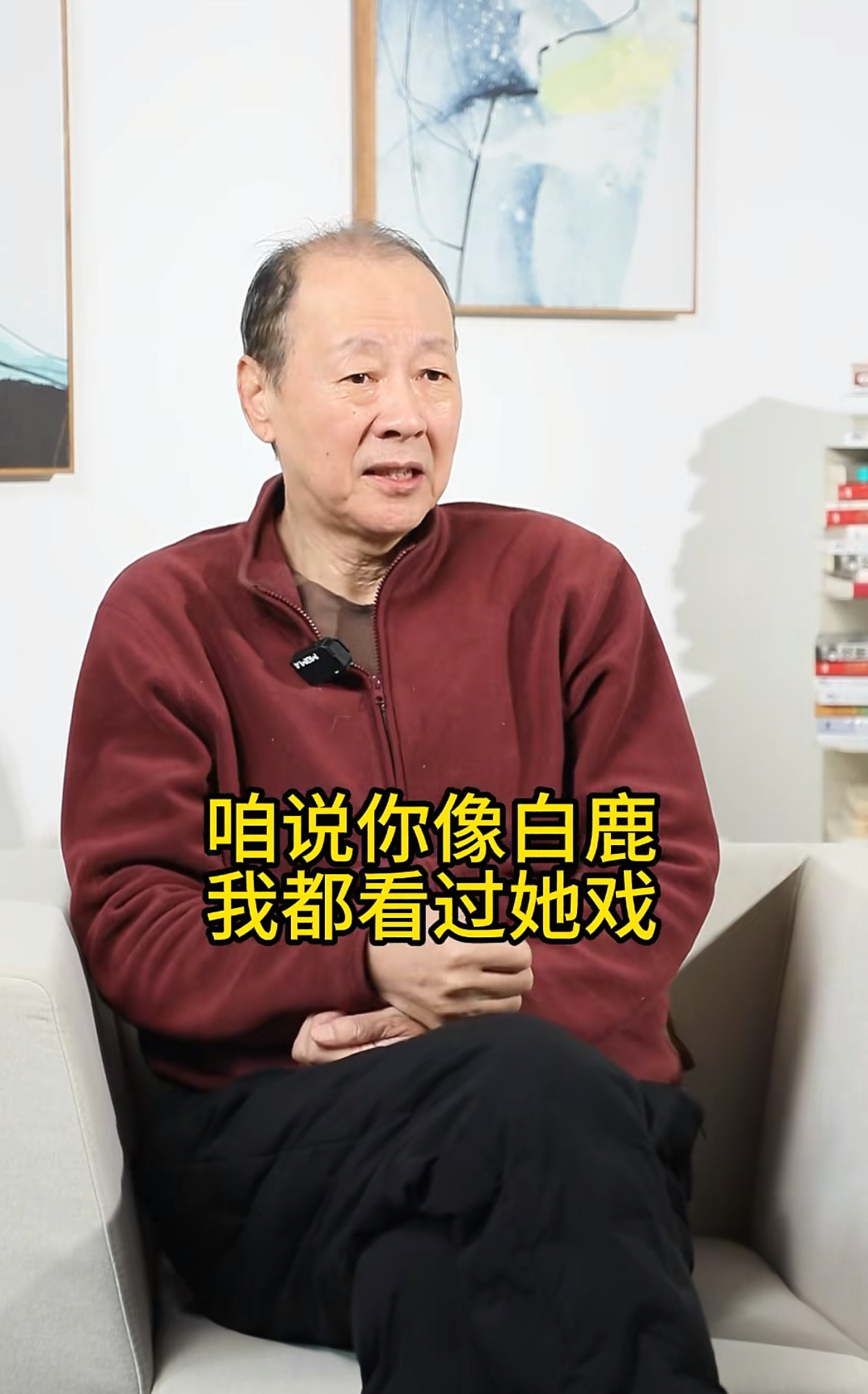 白鹿的剧粉盘真的难以想象，国民度非常高。之前看采访说小学生一个班有二十多个都是白