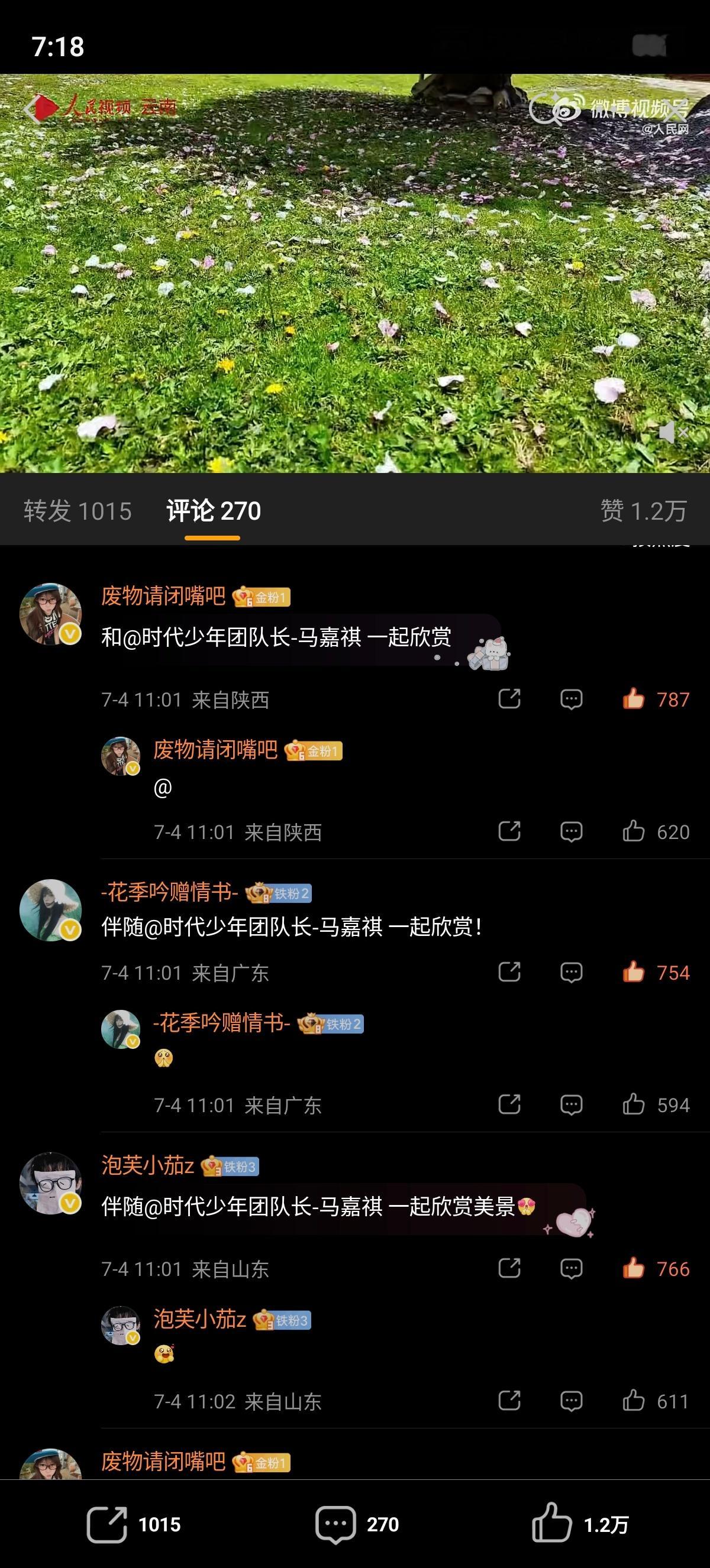 ✔️🈳网页链接  专栏 · 🈳评组