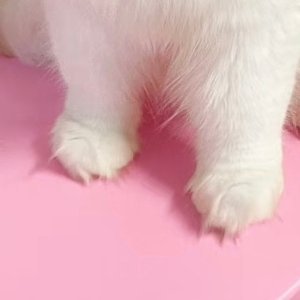 0000凿井者，起于三寸之坎，以就万仞之深。从极细微的积累开始，坚持不懈，定然会