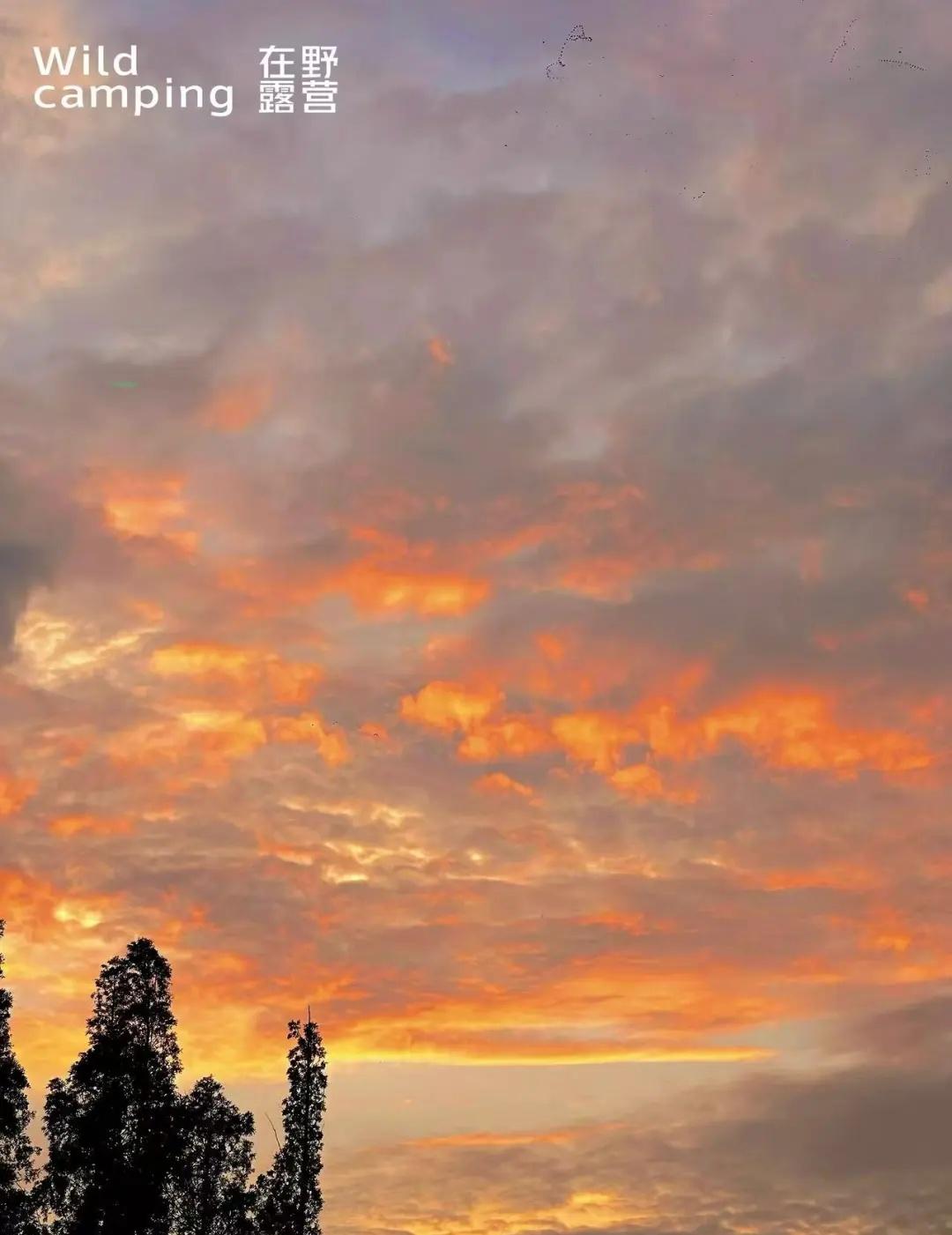 淀山湖夕阳露营封神！烤肉+湖景+带狗嗨。
在淀山湖追到了今年最绝的橘子海夕阳🌇