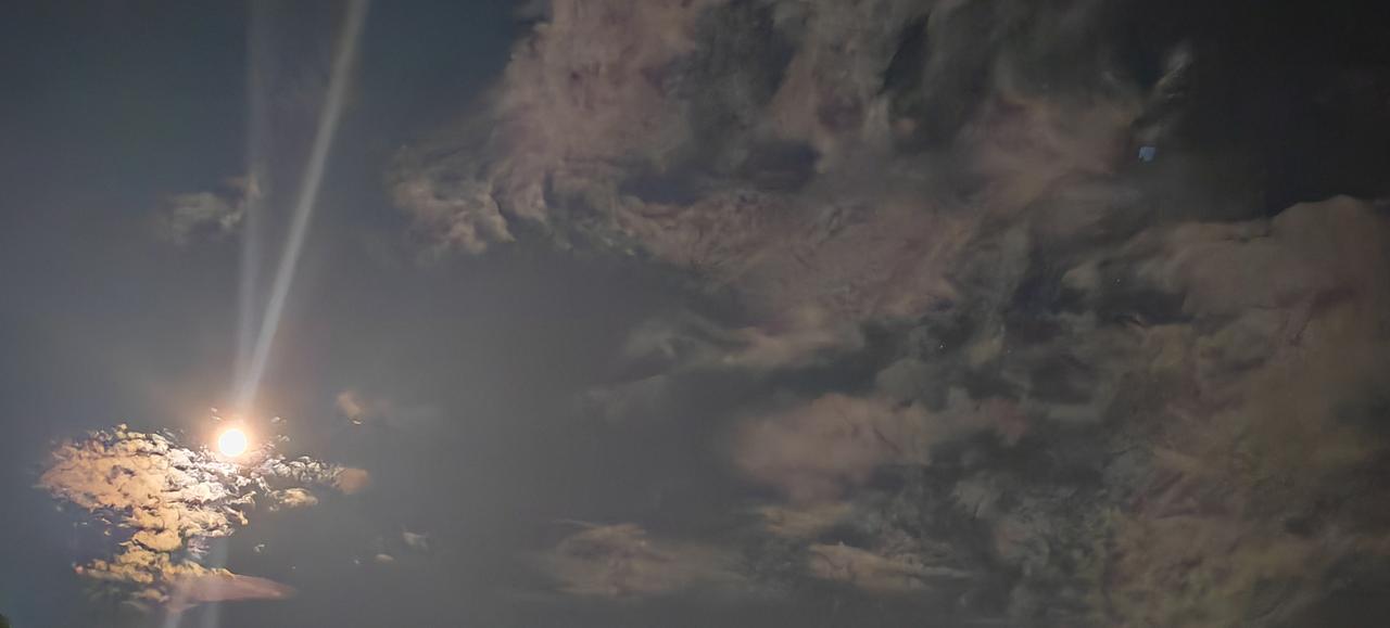子夜时分，加班从办公室出来。
对着天空的拍了张照，月亮高悬，洒落一地清辉。

似