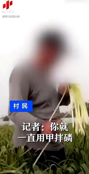 看完直冒冷汗！央视记者径直将镜头凑到种地大爷跟前问道：“你一直都用甲拌磷？”大爷
