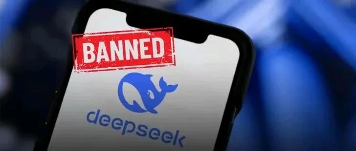 DeepSeek是由中国公司开发的AI模型，其以低成本、高性能的特点迅速崛起，引